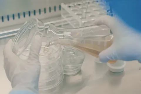 연구개발(R&D) 강점