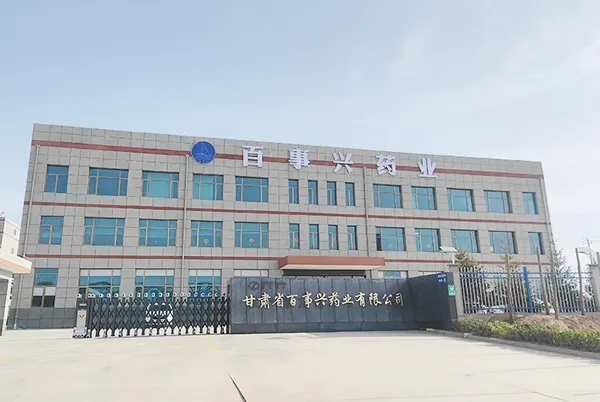 Lanzhou 생산 시설